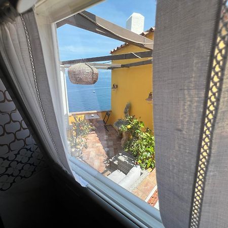 La Terrazza Sul Mare Bed and Breakfast Κάπρι Εξωτερικό φωτογραφία