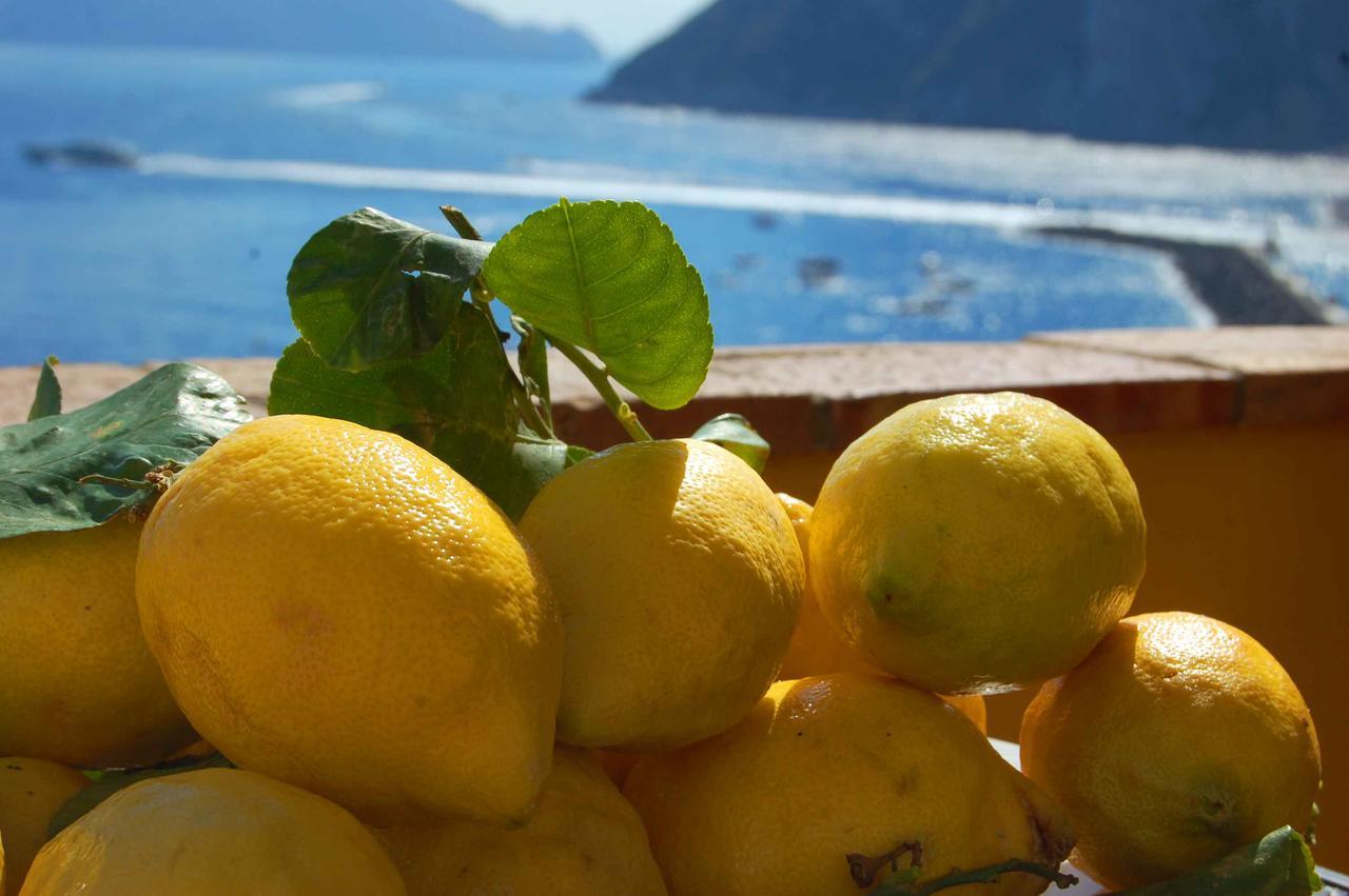 La Terrazza Sul Mare Bed and Breakfast Κάπρι Εξωτερικό φωτογραφία