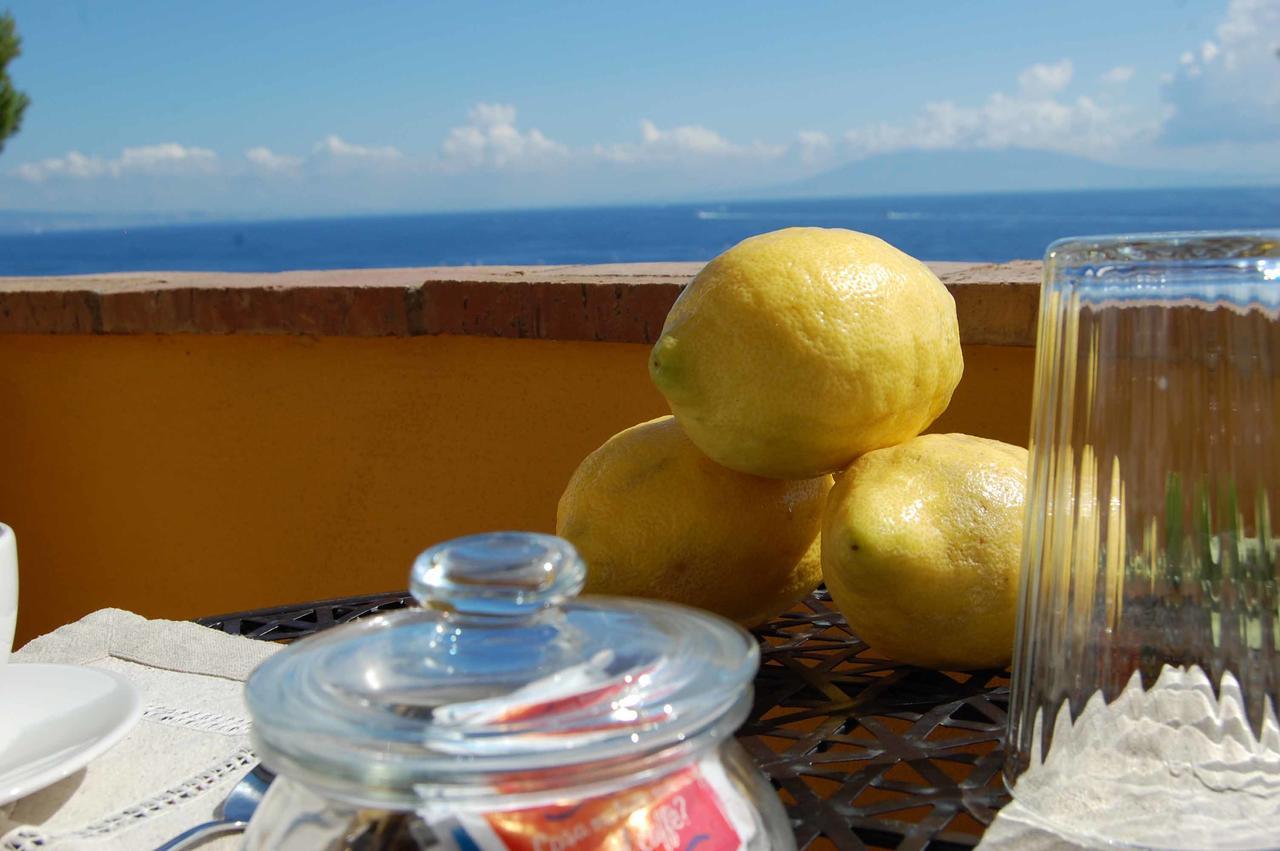 La Terrazza Sul Mare Bed and Breakfast Κάπρι Εξωτερικό φωτογραφία