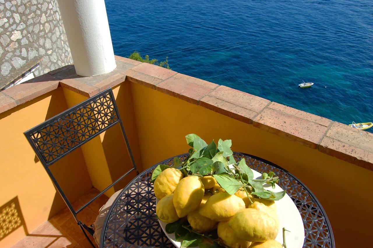 La Terrazza Sul Mare Bed and Breakfast Κάπρι Εξωτερικό φωτογραφία