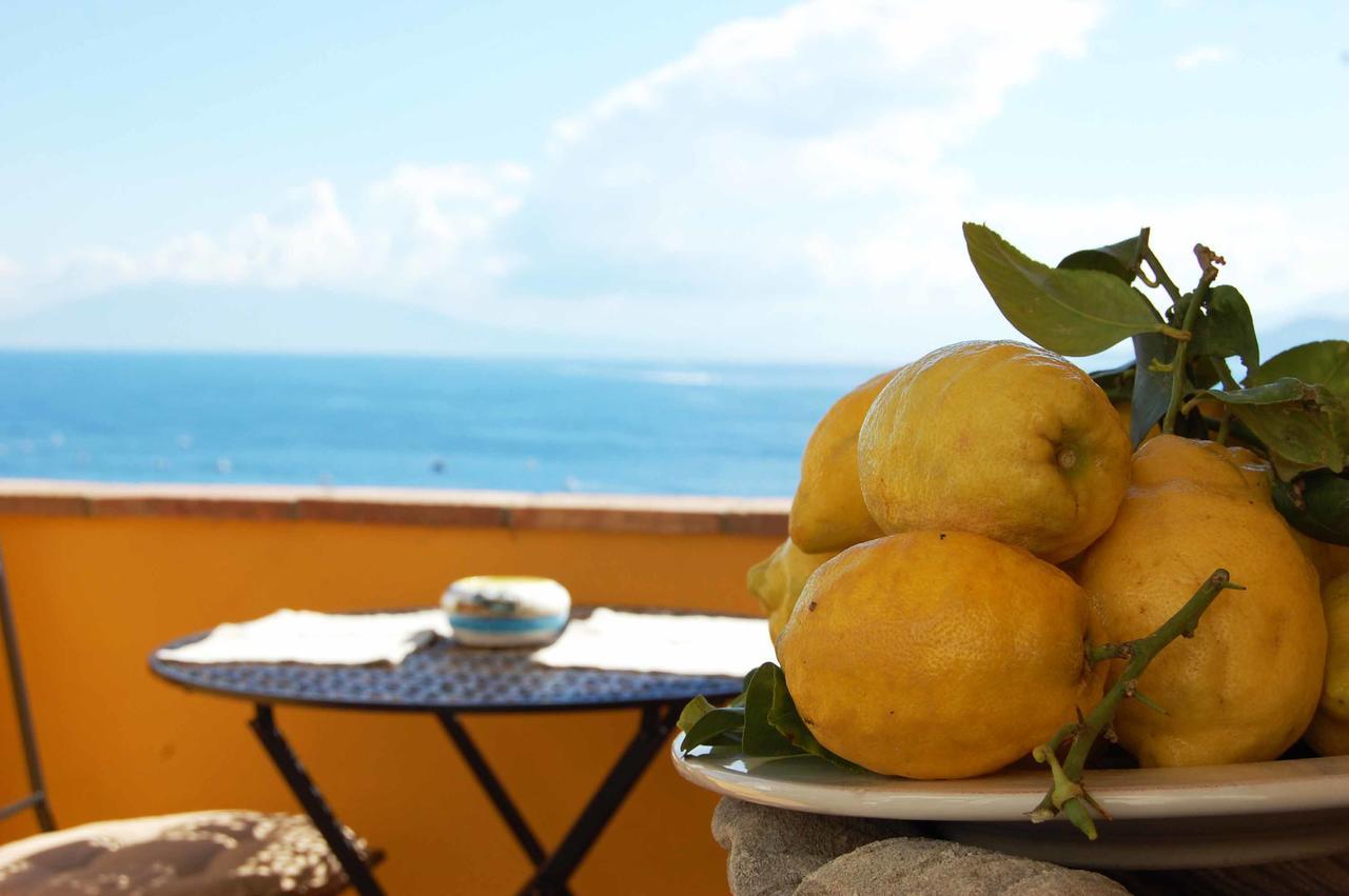 La Terrazza Sul Mare Bed and Breakfast Κάπρι Εξωτερικό φωτογραφία