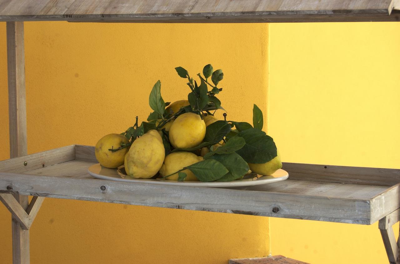 La Terrazza Sul Mare Bed and Breakfast Κάπρι Εξωτερικό φωτογραφία