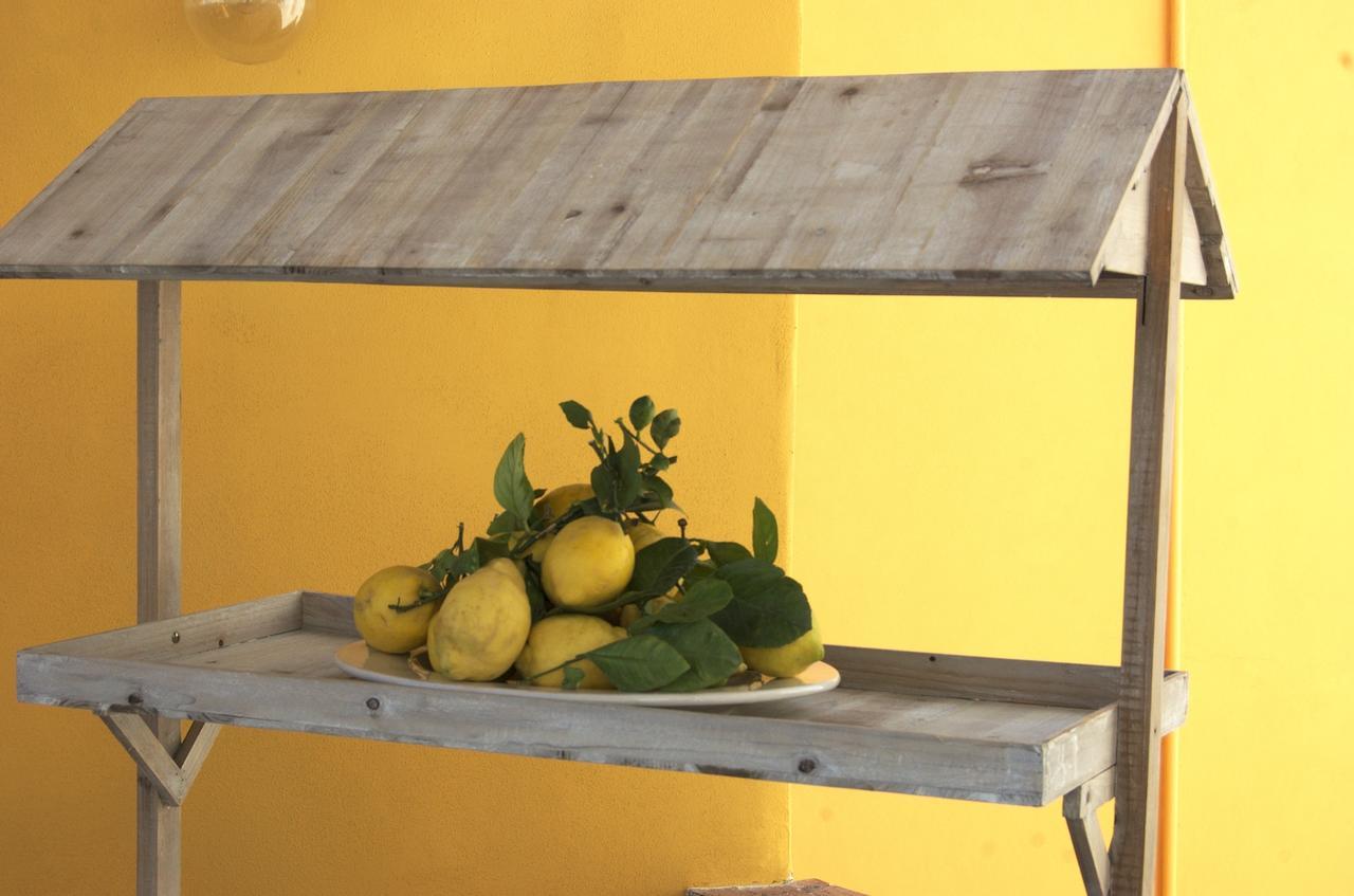 La Terrazza Sul Mare Bed and Breakfast Κάπρι Εξωτερικό φωτογραφία