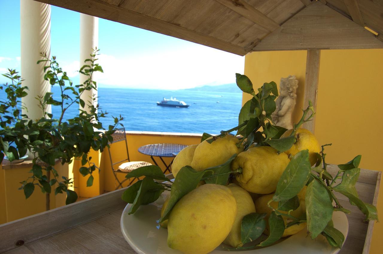 La Terrazza Sul Mare Bed and Breakfast Κάπρι Εξωτερικό φωτογραφία