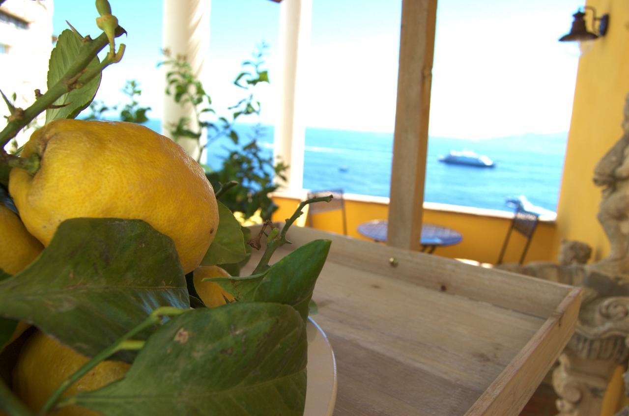 La Terrazza Sul Mare Bed and Breakfast Κάπρι Εξωτερικό φωτογραφία