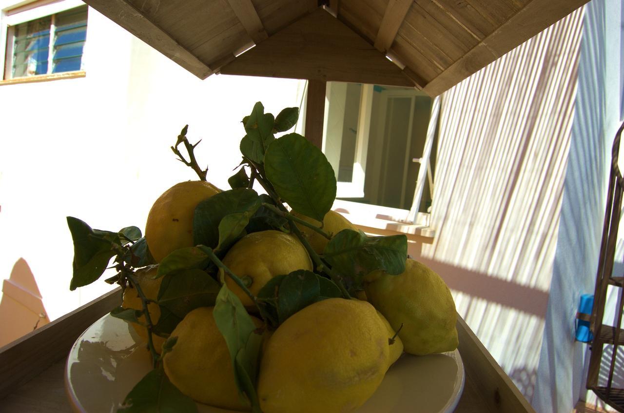La Terrazza Sul Mare Bed and Breakfast Κάπρι Εξωτερικό φωτογραφία