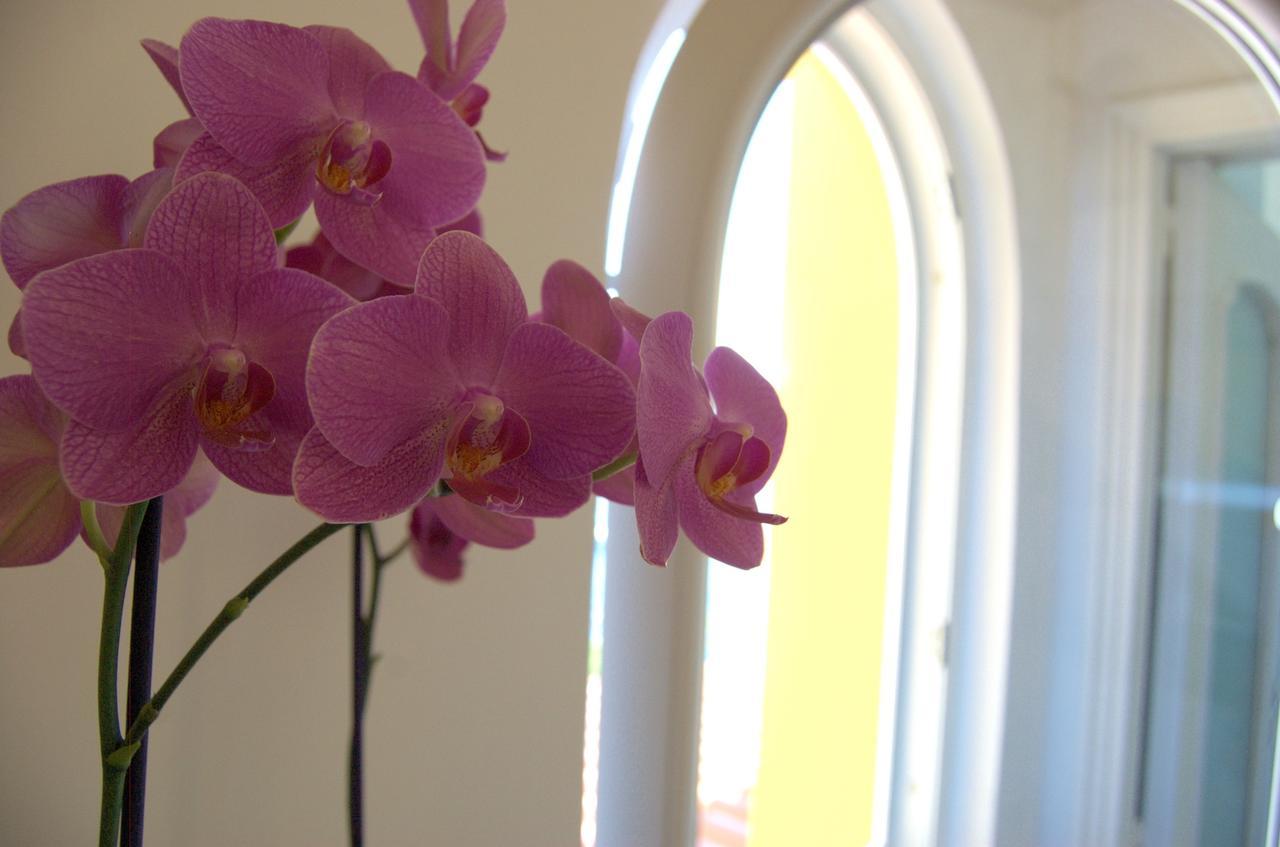 La Terrazza Sul Mare Bed and Breakfast Κάπρι Εξωτερικό φωτογραφία