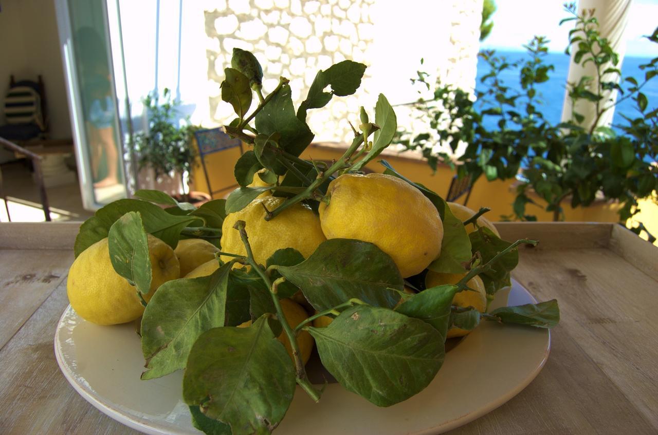 La Terrazza Sul Mare Bed and Breakfast Κάπρι Εξωτερικό φωτογραφία