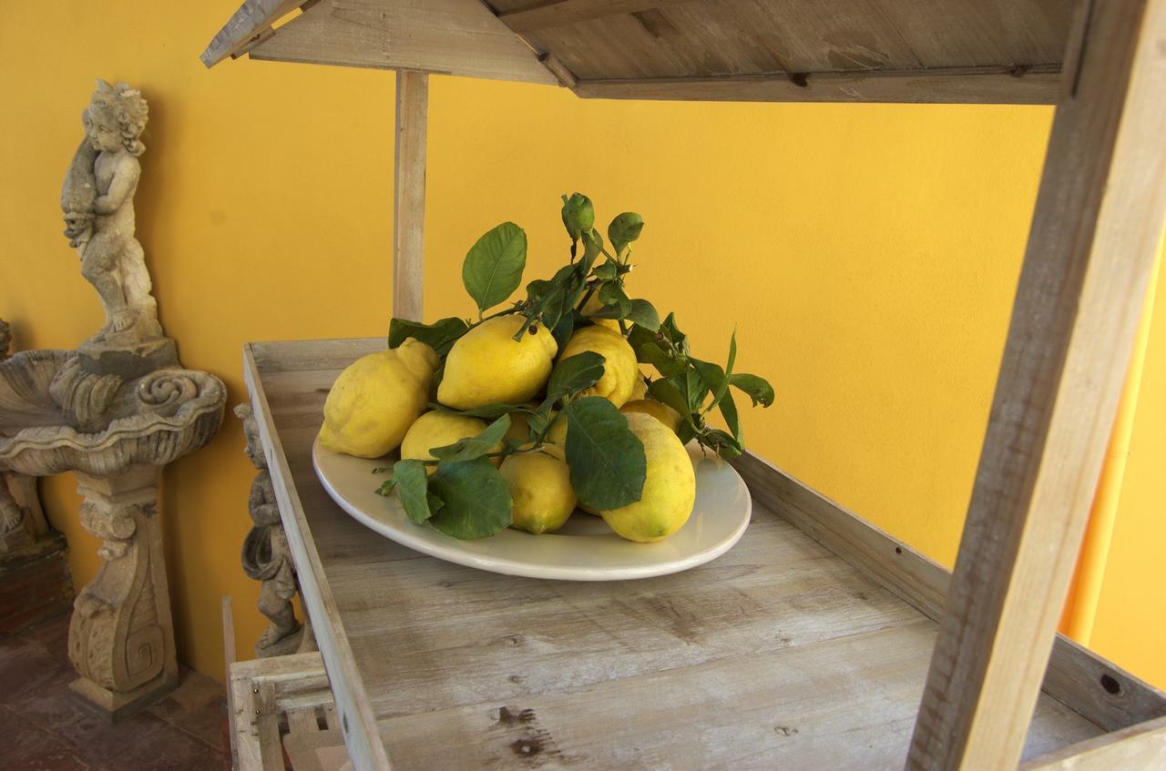 La Terrazza Sul Mare Bed and Breakfast Κάπρι Εξωτερικό φωτογραφία